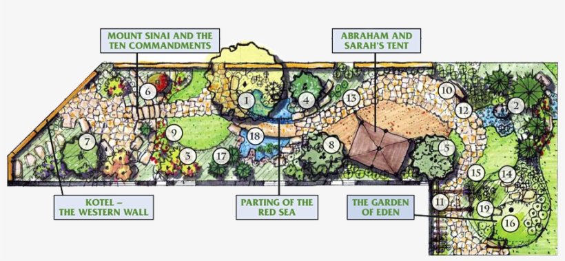 Identifying Biblical Plants Is Not A Simple Task - Garden Plant Layout, transparent png #6318190