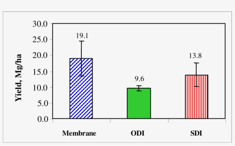 The Green Pepper Yield In Kibbutz Chafets-chaim,, transparent png #6318623