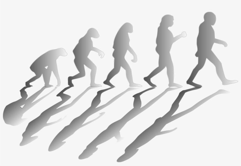 Social Media Quality Assurance Evolution Knowledge - Darwin's Contribution, transparent png #6319380