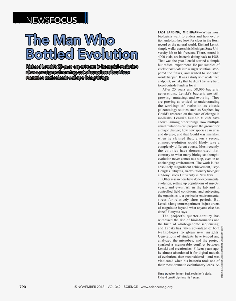 Document, transparent png #6320267