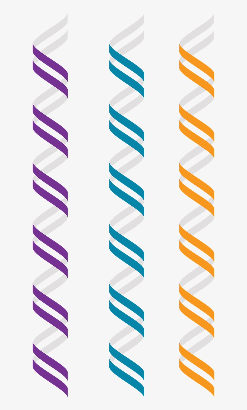 Z Dna,left Handed Double Helix,alternate Geometry,free - Nucleic Acid Double Helix, transparent png #6322254