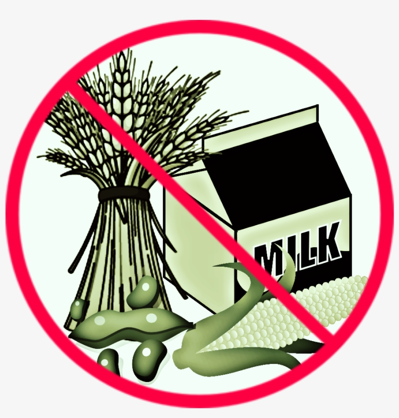 Nofood - Portable Network Graphics, transparent png #6322681