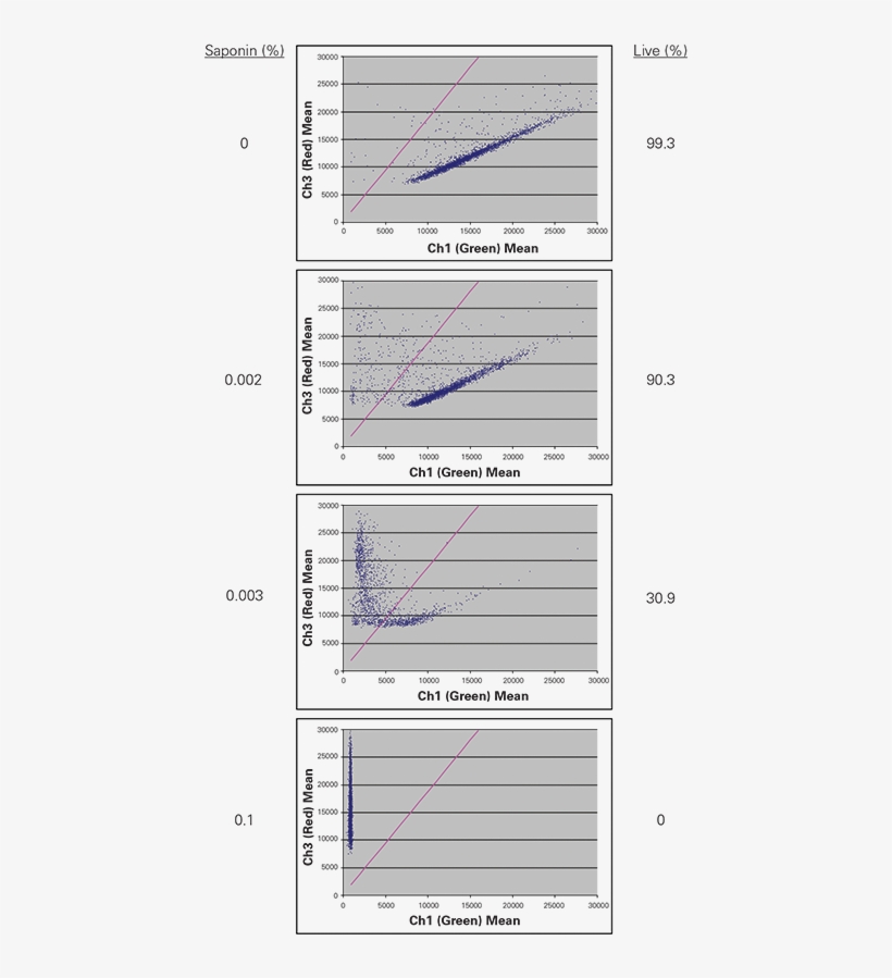 Top Images Are Live Cells In Ch1 And Ch3 (right) - Diagram, transparent png #6322809