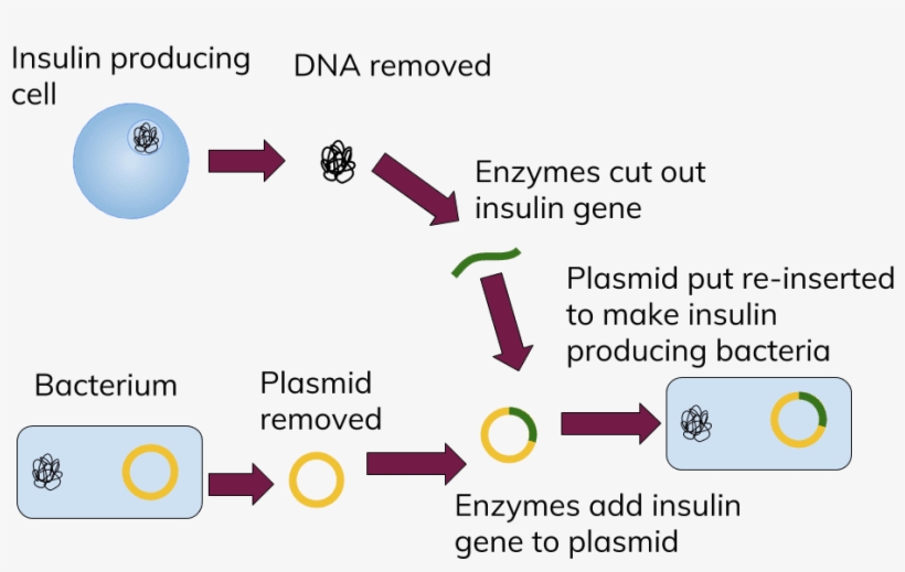 Jpg Freeuse Stock Collection Of Free Dna Download On