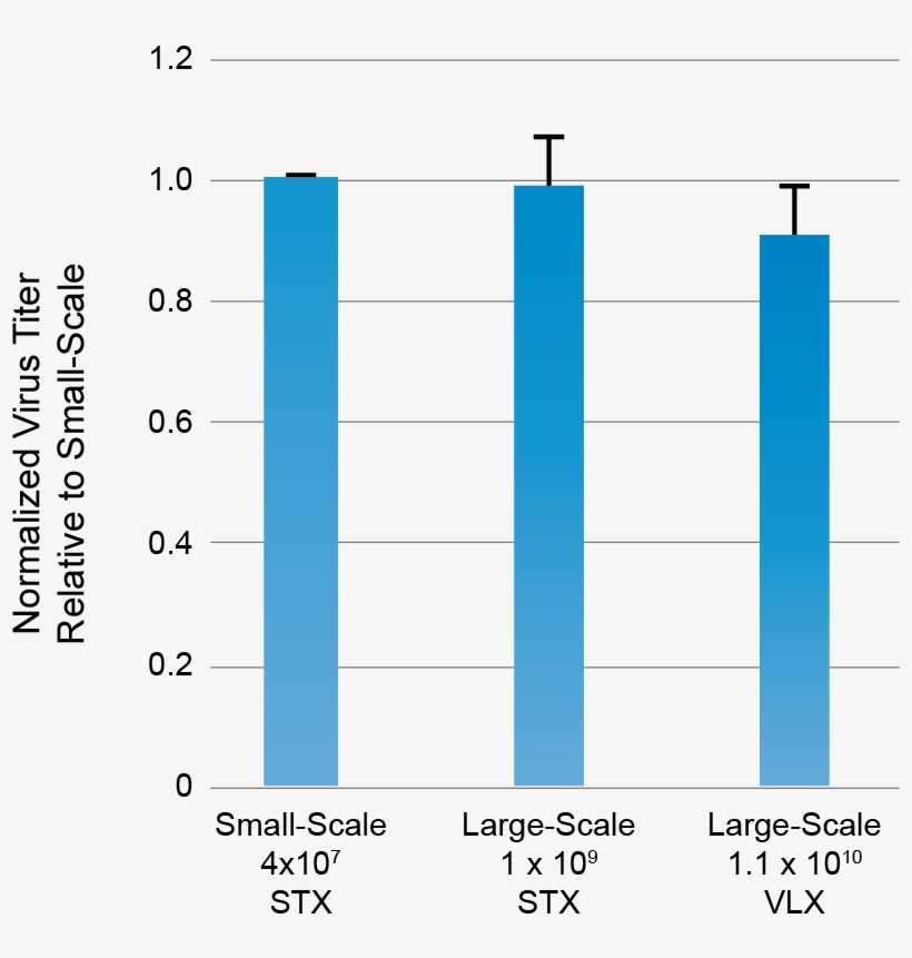 Suspension-adapted Hek 293ft Cells Were Mixed With, transparent png #6323005