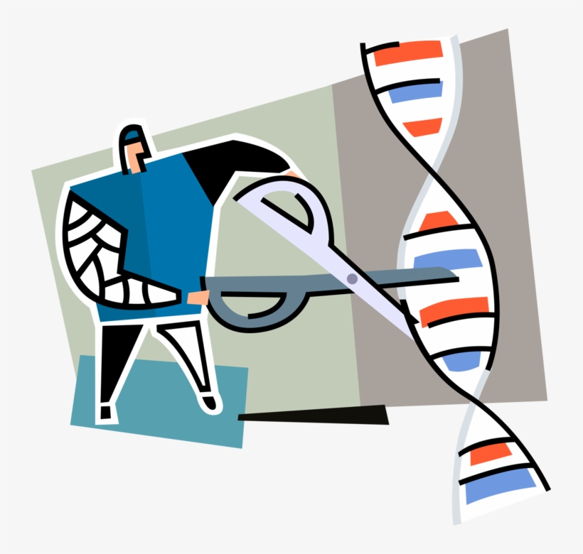 Vector Illustration Of Biological Geneticist Scientist - Dna Cortar E Colar, transparent png #6323166