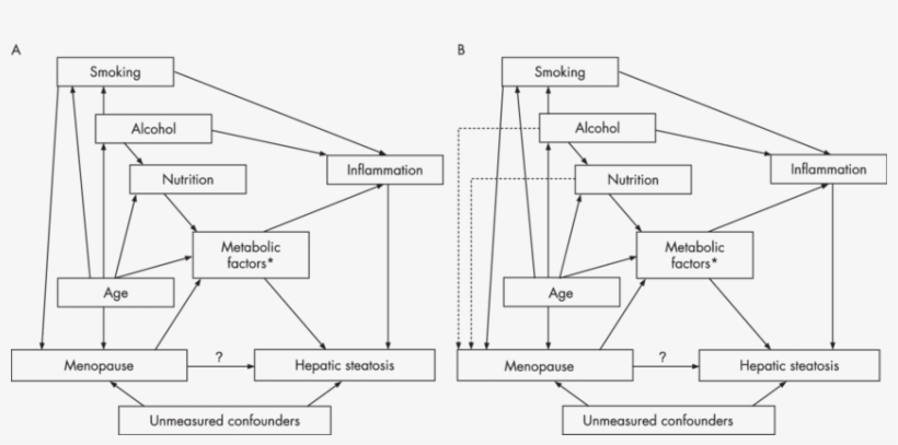 Causal Diagram For The Association Between Menopause - Diagram, transparent png #6324538