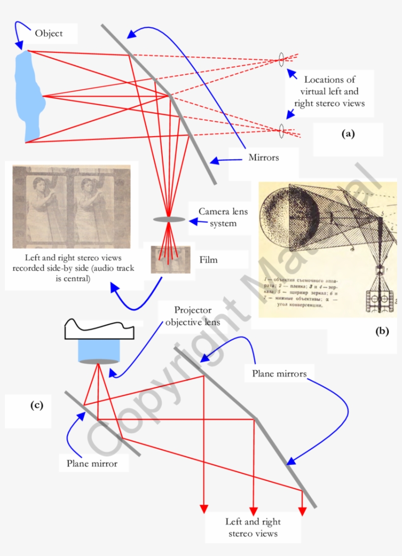 Diagrams And (b) Summarise The Capture Of The Left - Plane Mirror, transparent png #6325656