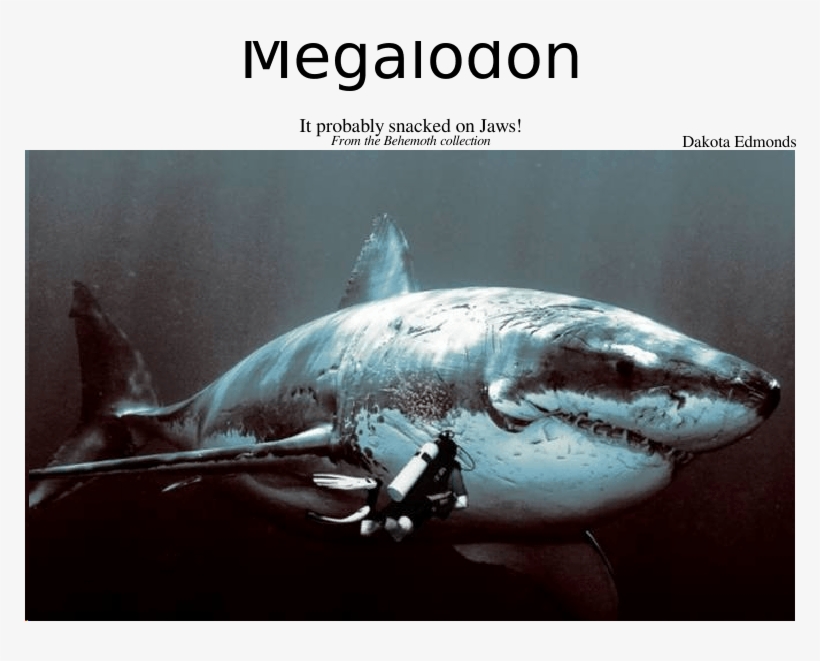 Megalodon Sheet Music For Piano, Piccolo, Alto Saxophone, - Hd Great White Shark, transparent png #6325716