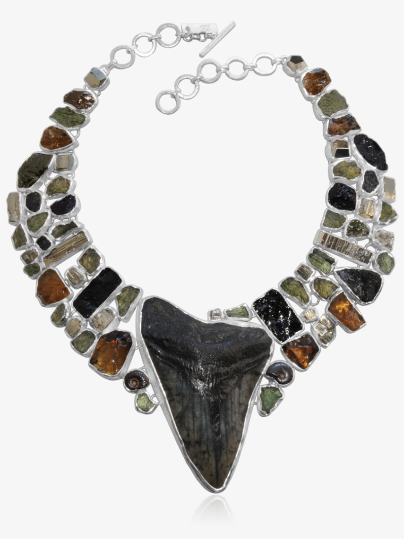 Megalodon Tooth, Moldavite, Pyrite, Ammonite And Cognac - Necklace, transparent png #6326339