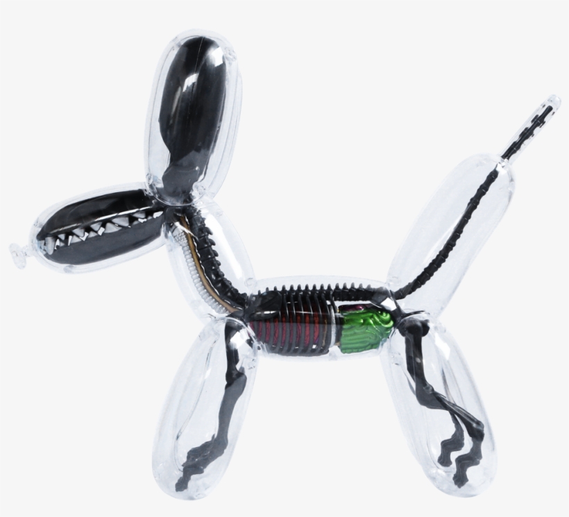 Balloon, transparent png #6330752