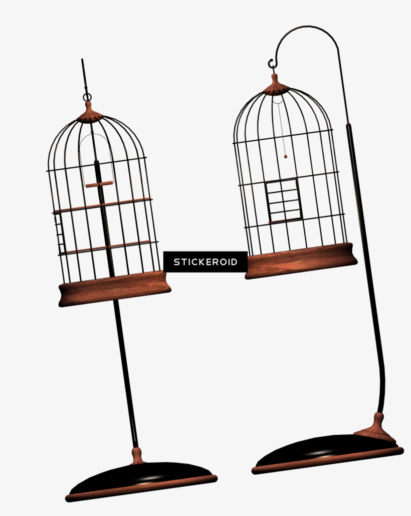 Cage Bird Objects - Portable Network Graphics, transparent png #6331340