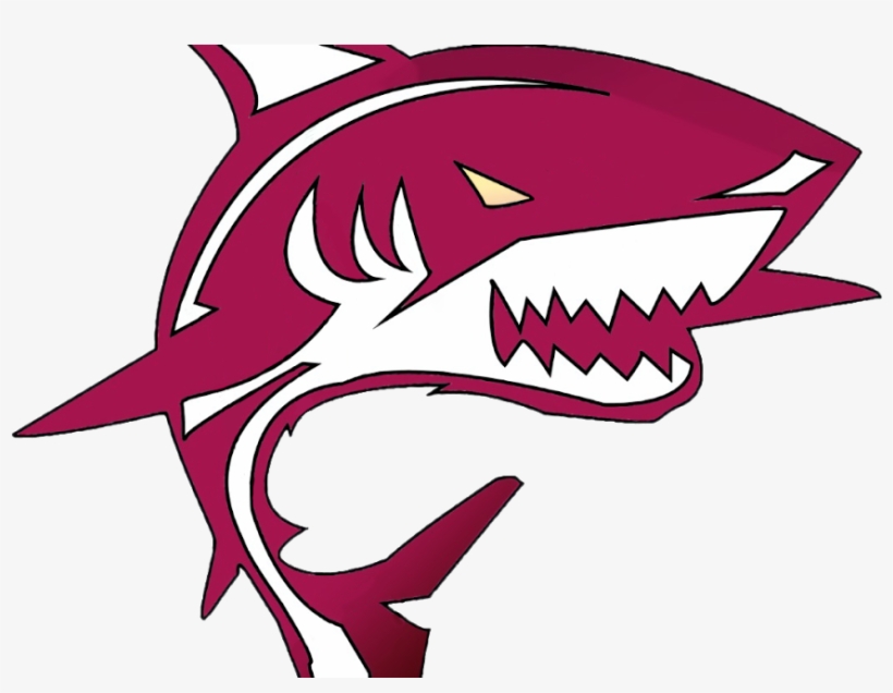 Bash Post Exploitation Toolkit - Computer Security, transparent png #6331641