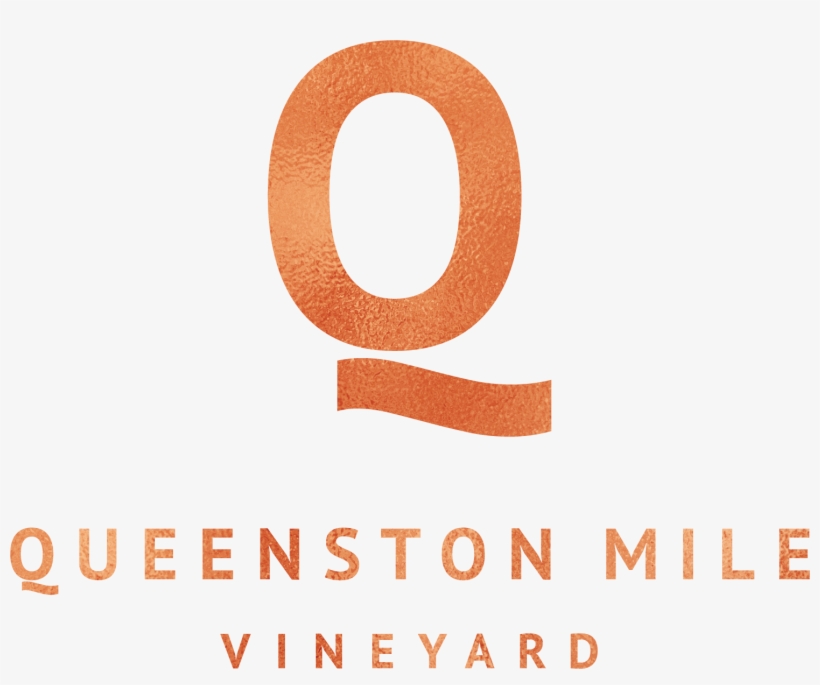 Queenston Mile Vineyard Winery & Wine Club, Winery - Queenston Mile Vineyard, transparent png #6334620