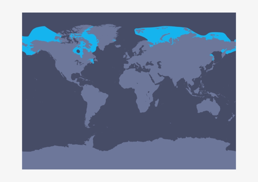 An Error Occurred - Beluga Whales Habitat Map, transparent png #6334949