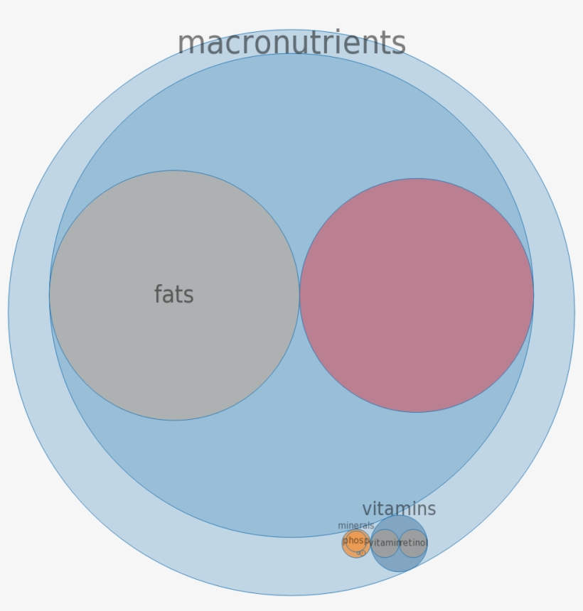 Whale, Beluga, Flipper, Raw -all Nutrients By Relative - Health Care Delivery System, transparent png #6335504