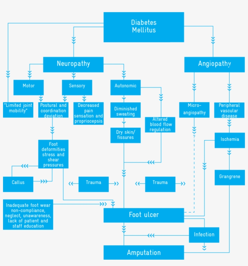 1 Pathogenesis Of Diabetic Foot Ulcer, transparent png #6335797