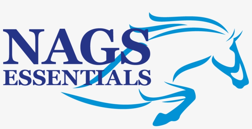 Nagsessentials - Nags Essentials, transparent png #6340032