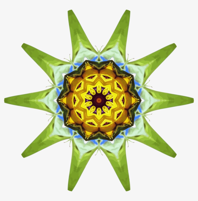 Common Sunflower Computer Icons Drawing Sunflower M - Clip Art, transparent png #6340092