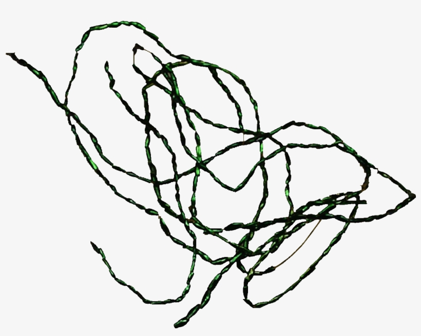 Papua New Guinea, St Matthias Islands, String Of Beetles' - St Matthias Islands, transparent png #6340336