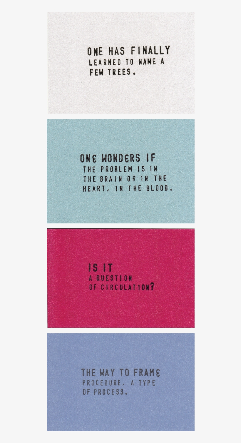 Genevieve Kaplan - Kaplan, Inc., transparent png #6340545