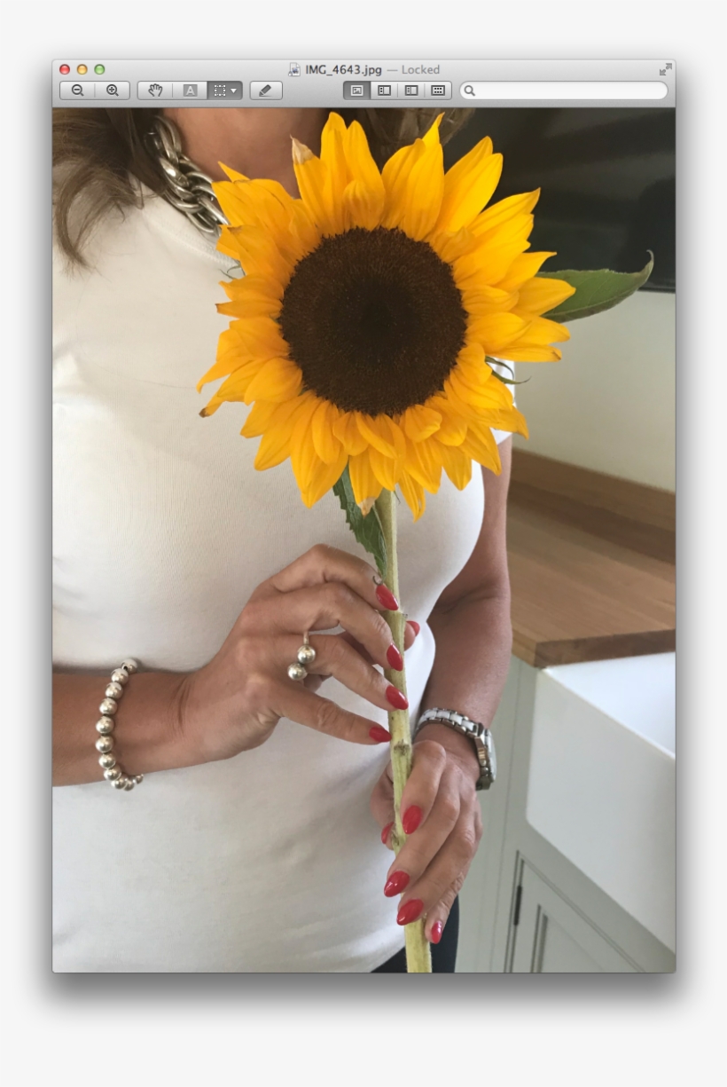 Order Your Party Kit At Http - Sunflower, transparent png #6340703