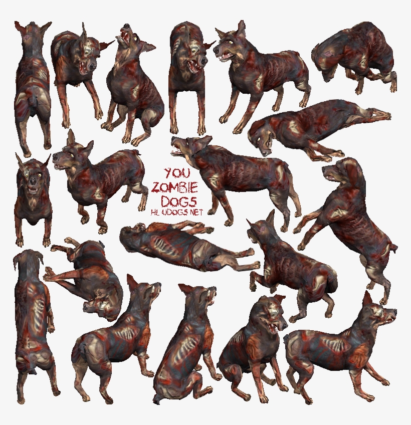 Ptzombieudogs - Zombie Gone Wild, transparent png #6341092