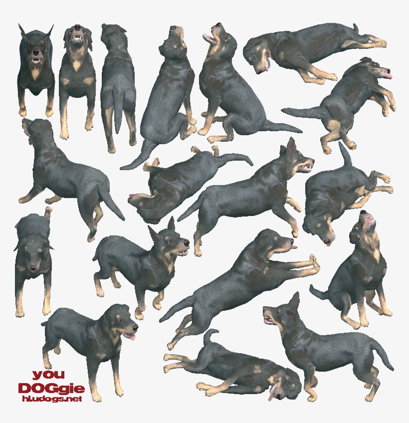 Ptudog - Dobermann, transparent png #6341515