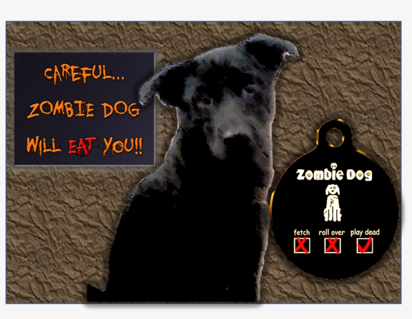 Everything - Ebook Shari`a In The Secular State, transparent png #6341625