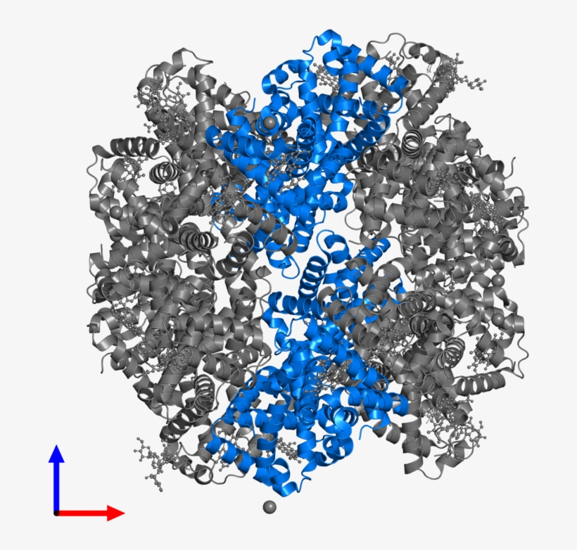 <div Class='caption-body'>pdb Entry 3wcw Contains 6, transparent png #6342366