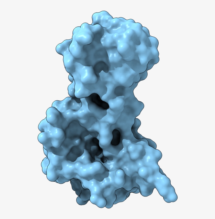 Surface Display - Blueberry, transparent png #6345666