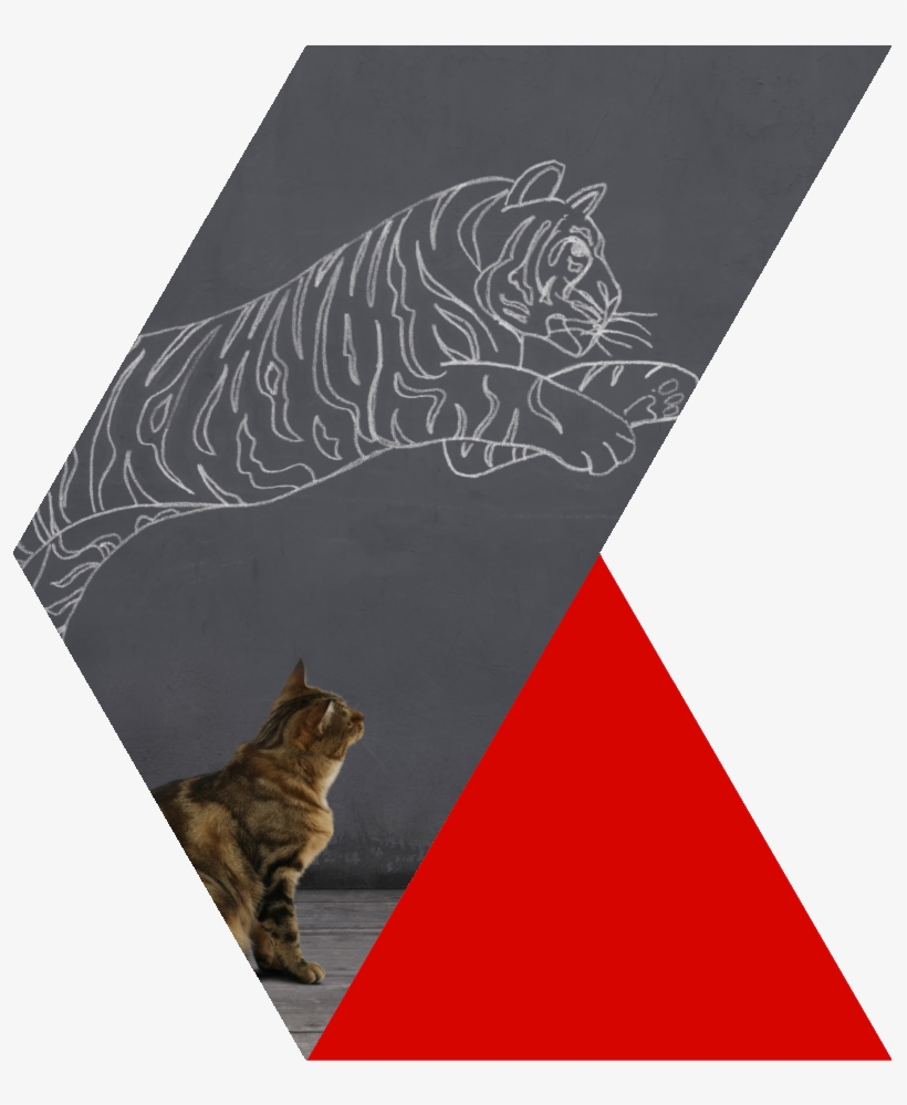 Learn More - Tabby Cat, transparent png #6348843