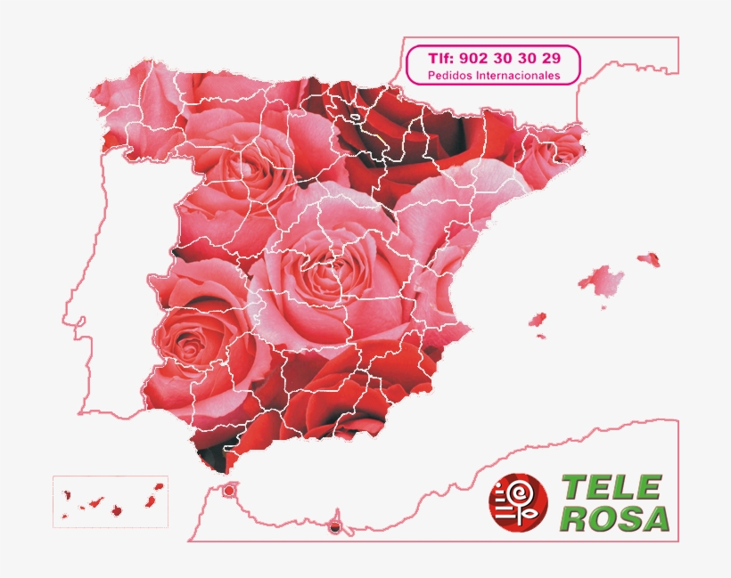 Pedidos Internacionales Tlf 902 30 30 - Floristry, transparent png #6349277