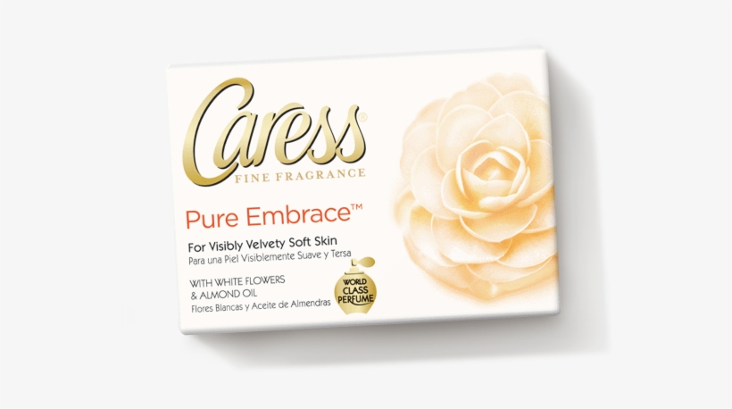 Garden Roses, transparent png #6349336