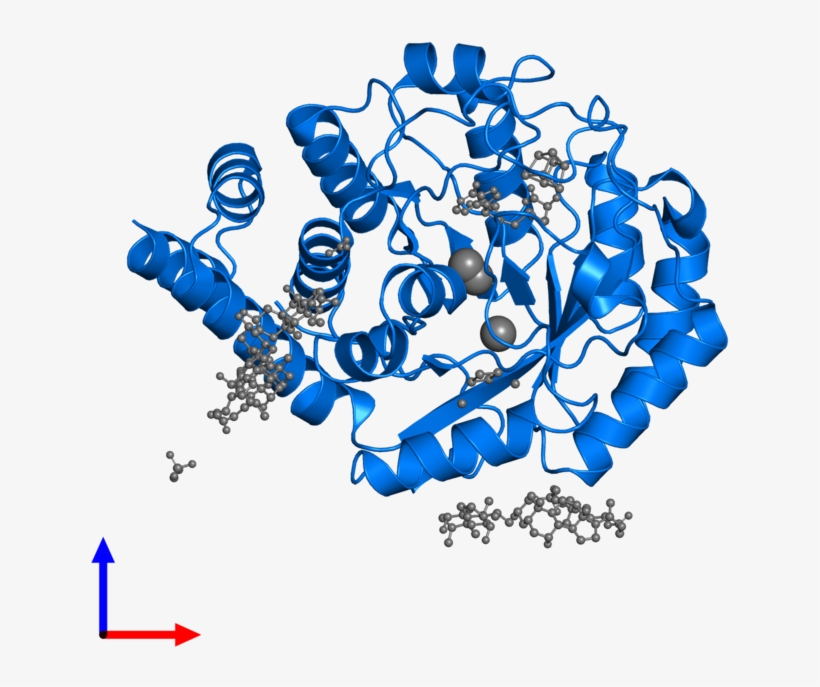 <div Class='caption-body'>pdb Entry 3iiz Contains 1 - Graphic Design, transparent png #6350198
