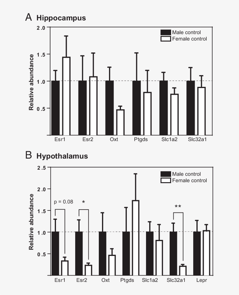 Sex Differences In Hippocampal And Hypothalamic Expression - Gene Expression, transparent png #6352945
