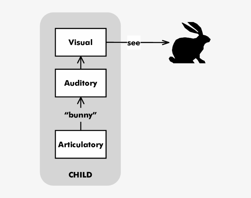 Child Thinking About A Bunny - Avs, transparent png #6354181