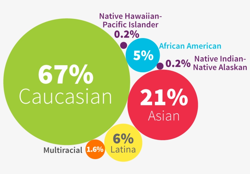 Infographic-1a - Circle, transparent png #6355681