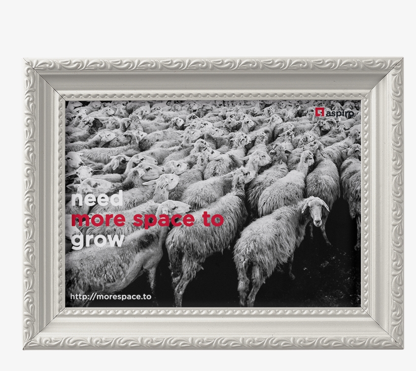 More Space To Grow Wallpaper - Don T Follow The Majority Follow The Right Way, transparent png #6355737