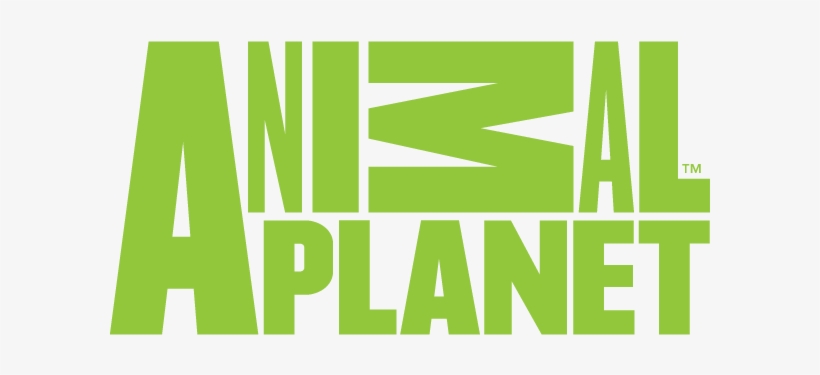 Animal Planet-nw - Animal Planet Logo 2016, transparent png #6357462