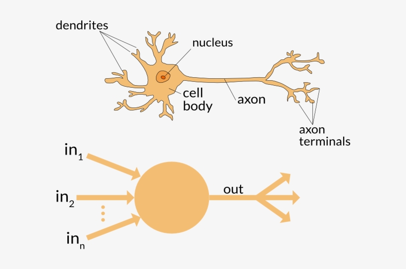 Https - //appliedgo - - Machine Learning Neural Network Brain, transparent png #6357559