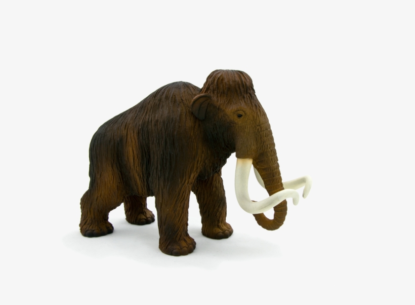 Animal Planet Wooly Mammoth, transparent png #6357618
