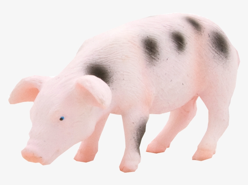 Mojo Animal Planet Прасе - .net, transparent png #6358077