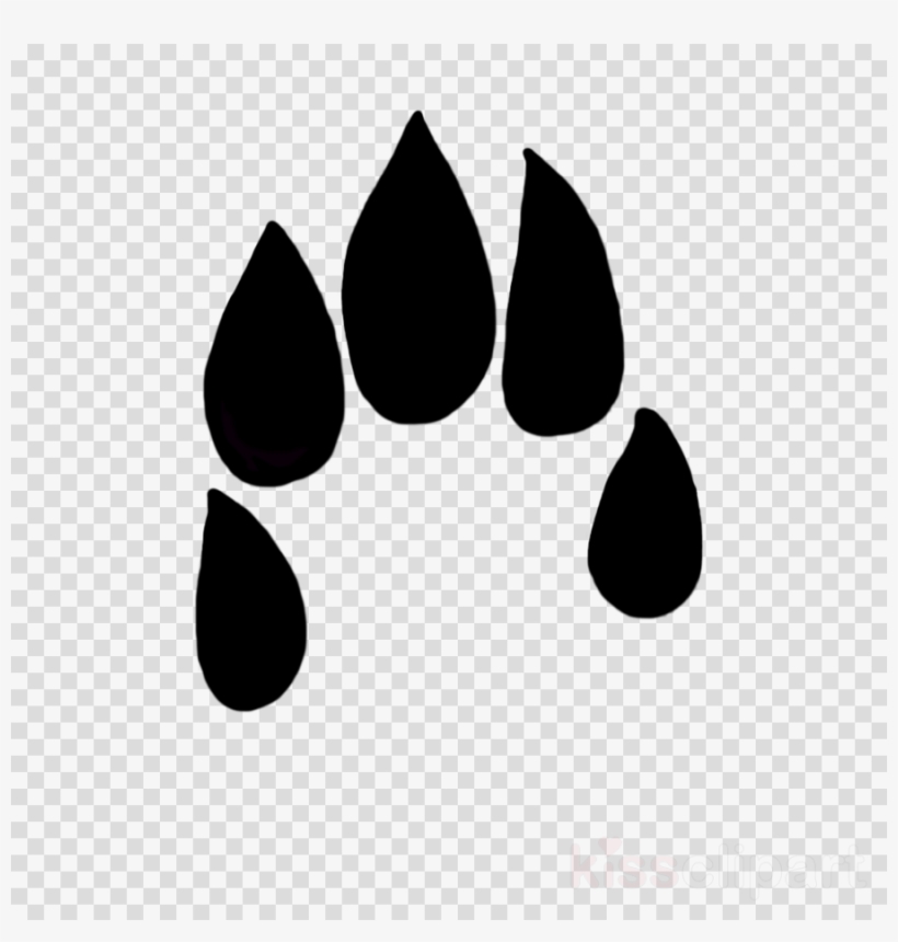 Rabbit Paw Print Transparent Clipart Easter Bunny Paw Huella De Conejo Png Free Transparent Png Download Pngkey