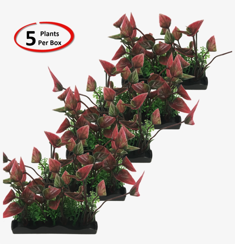 View Larger - Garden Roses, transparent png #6361026