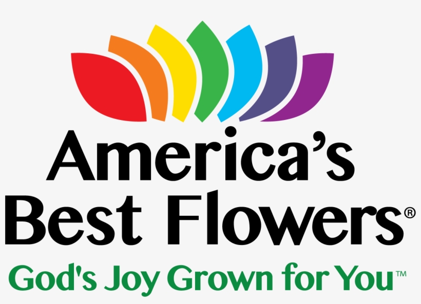 Flowers Top View Png, transparent png #6361179