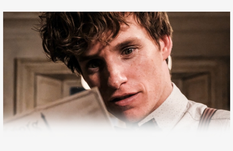 Newt And Tina, transparent png #6361443
