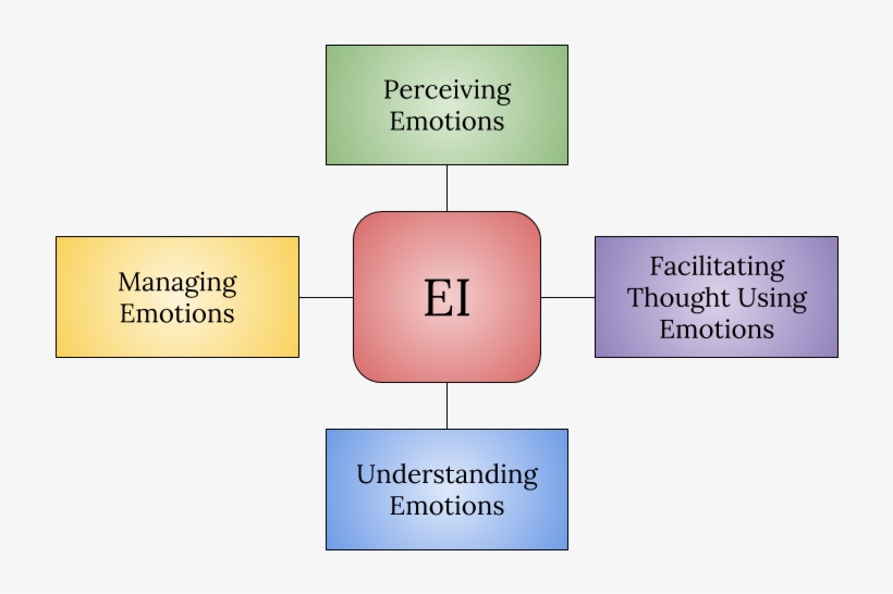 Four Branch Model - Diagram, transparent png #6362709