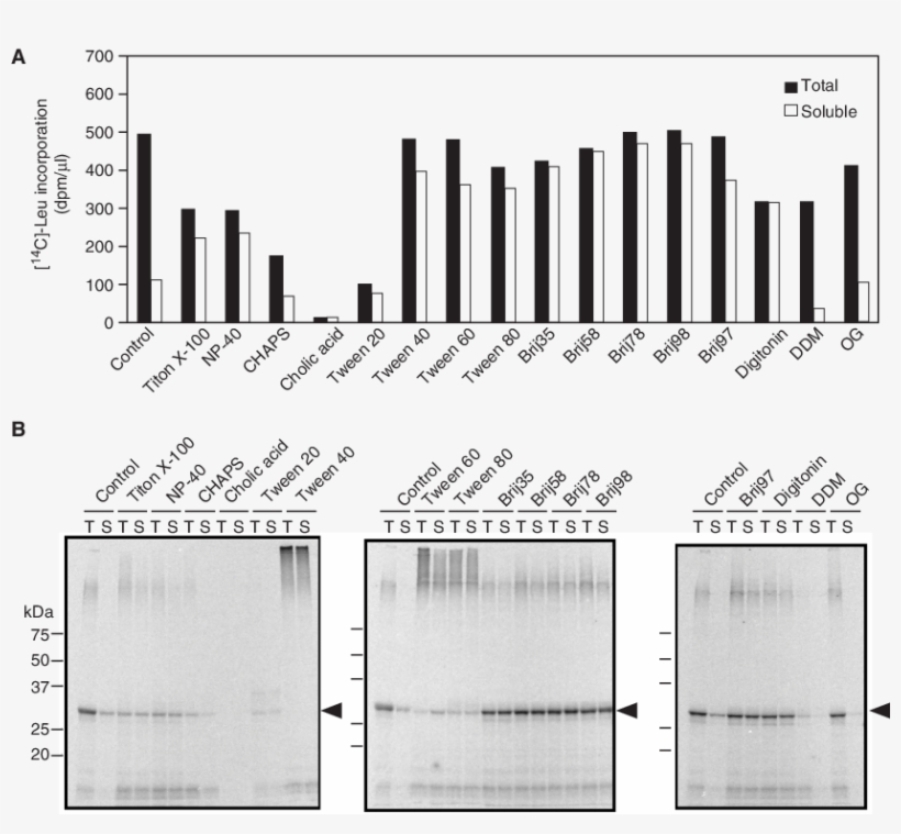 Effects Of Detergents On Solubility And Production - Cell-free System, transparent png #6363599