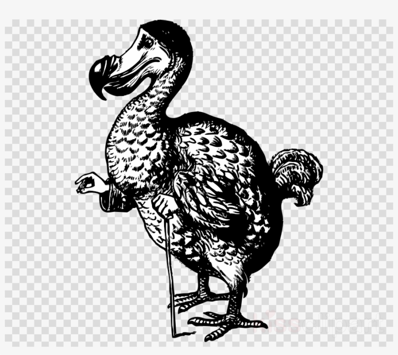 Download Dodo Alice Clipart Dodo Alice's Adventures - Alice's Adventures In Wonderland Dodo, transparent png #6365909